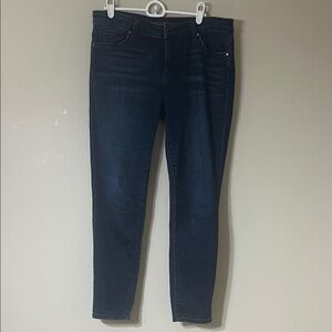 Joe's Jeans Dark Blue Skinny Women's Jeans